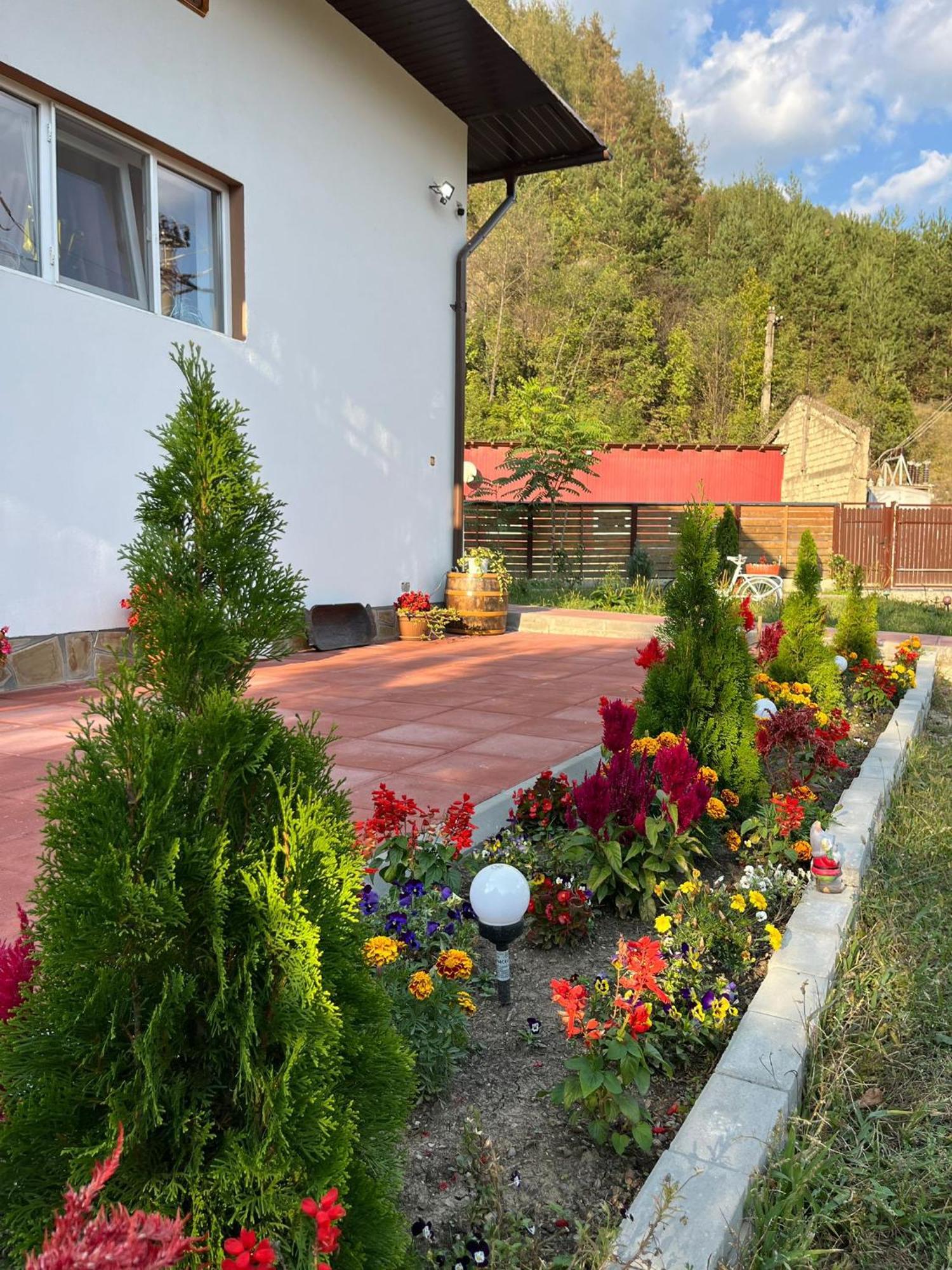 Casa Vio Nehoiu Exterior foto
